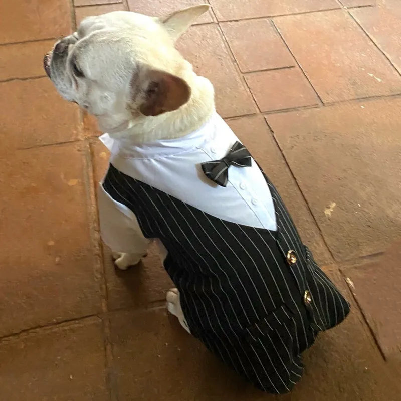 Pet Formal Shirt Dog Clothing Prince Wedding Party Suit Tuxedo Bow Tie Puppy Clothes Coat Spring Summer Costume