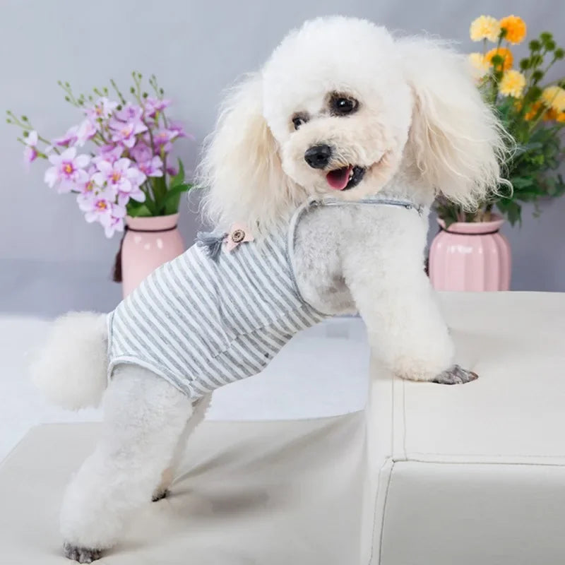 Unisex Pet Physiological Pants Underwear Dog Clothes Puppy Diaper Strap Briefs Female Sanitary Panties Shorts Pet Supplies Puppy