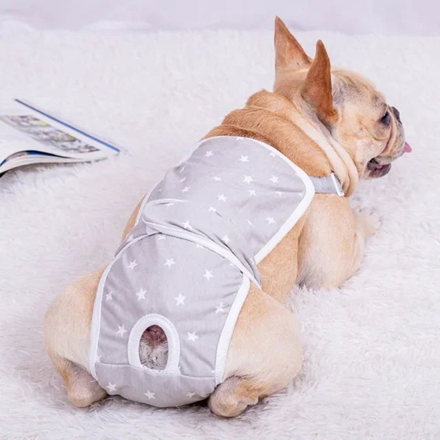 Unisex Pet Physiological Pants Underwear Dog Clothes Puppy Diaper Strap Briefs Female Sanitary Panties Shorts Pet Supplies Puppy