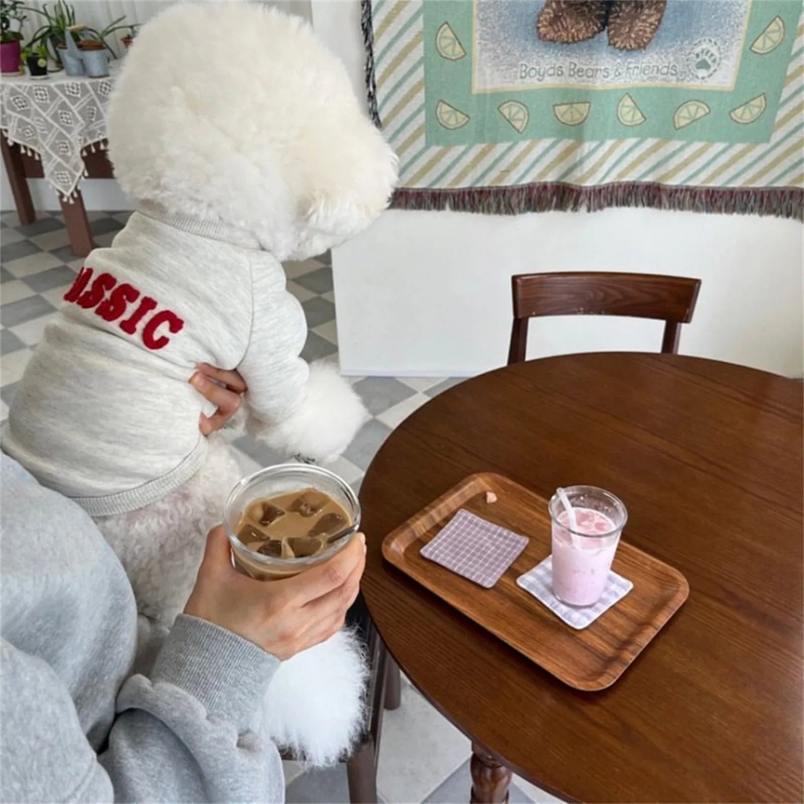 dogs clothes Fashion Winter Dog Clothes Pet Warm Puppy Coat Dog Hoodies Letter Pullover Pet Clothing French Puppy Sweater Shirt