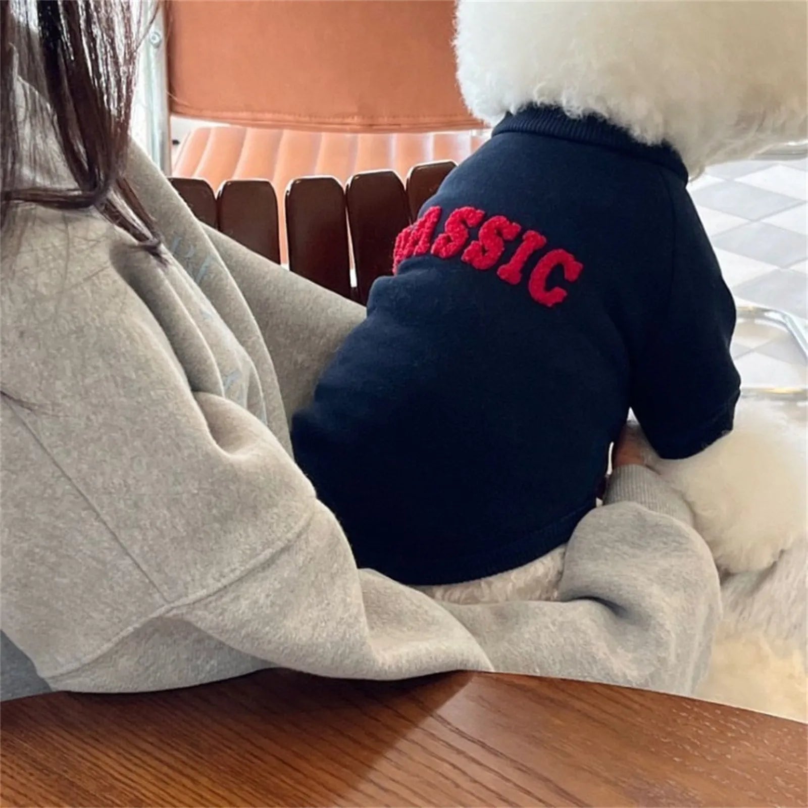 dogs clothes Fashion Winter Dog Clothes Pet Warm Puppy Coat Dog Hoodies Letter Pullover Pet Clothing French Puppy Sweater Shirt
