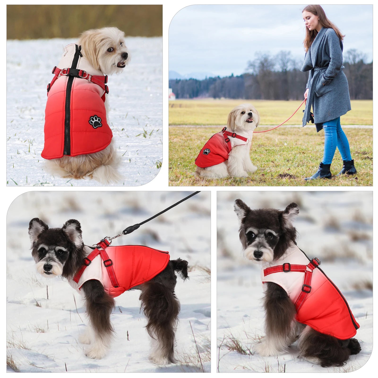 Pet Dog Jacket With Harness Winter Warm Dog Clothes For Small Medium Waterproof Dog Coat Chihuahua Bulldog Outfits